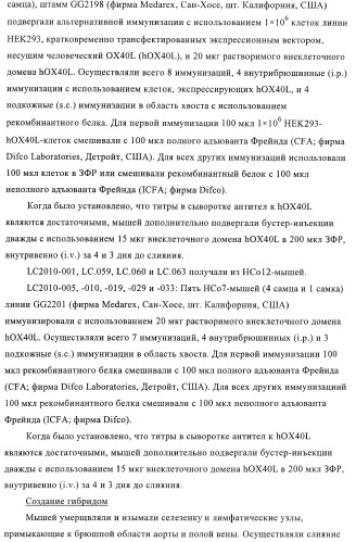 Антитела к ох40l (патент 2395523)