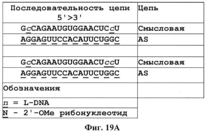 Новые структуры малых интерферирующих рнк (sirna) (патент 2487716)