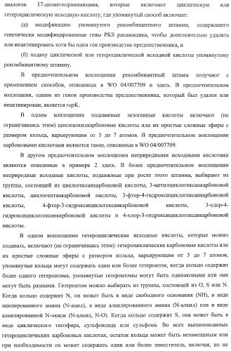 Получение поликетидов и других природных продуктов (патент 2430922)