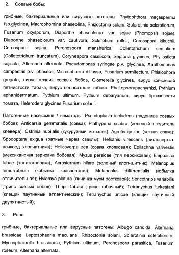 Способ повышения стойкости к стрессовым факторам в растениях (патент 2375452)