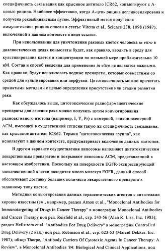 Антигенсвязывающие молекулы, которые связывают egfr, кодирующие их векторы и их применение (патент 2488597)