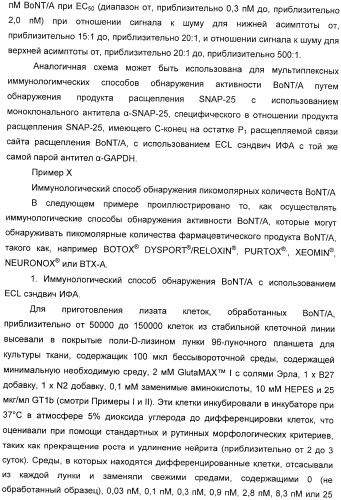 Иммунологические анализы активности ботулинического токсина серотипа а (патент 2491293)