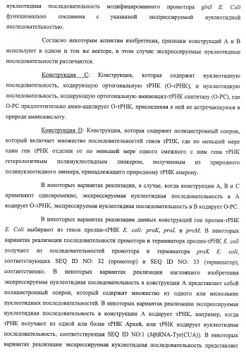 Система экспрессии компонентов ортогональной трансляции в эубактериальной клетке-хозяине (патент 2467069)