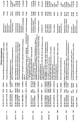 Гены corynebacterium glutamicum, кодирующие белки метаболических путей (патент 2306339)