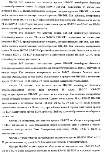 Белки, связывающие антиген фактор роста, подобный гепаринсвязывающему эпидермальному фактору роста (патент 2504551)