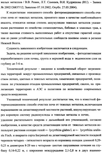 Фиторемедиационный способ очистки почв от тяжелых металлов (патент 2359444)