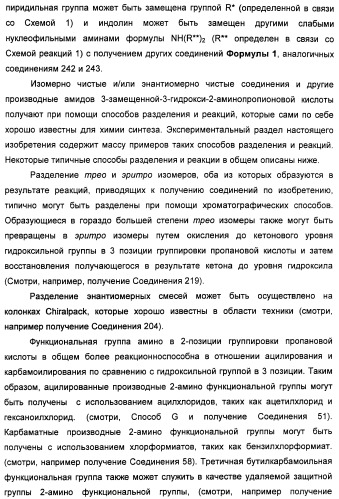 Амиды 3-арил-3-гидрокси-2-аминопропионовой кислоты, амиды 3-гетероарил-3-гидрокси-2-аминопропионовой кислоты и родственные соединения, обладающие обезболивающим и/или иммуностимулирующим действием (патент 2433999)