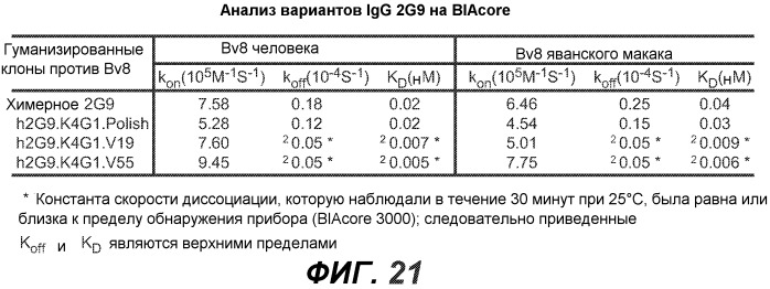 Антитела против bv8 и их применение (патент 2559542)