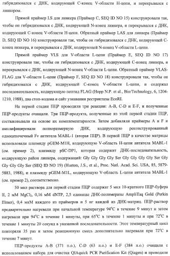 Агонистическое соединение, способное специфически узнавать и поперечно сшивать молекулу клеточной поверхности или внутриклеточную молекулу (патент 2430927)