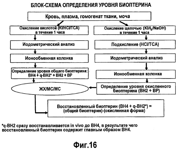 Композиции тетрагидробиоптерина и способы его количественной оценки (патент 2486899)