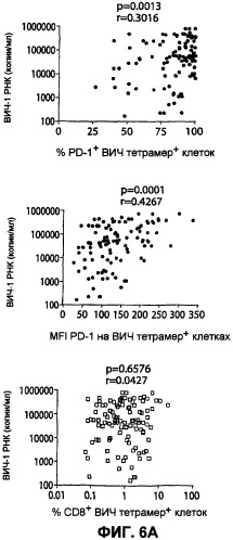 Способ и композиции для лечения персистирующих инфекций (патент 2434641)