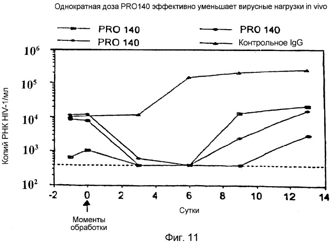 Антитело против ccr5 (патент 2322454)