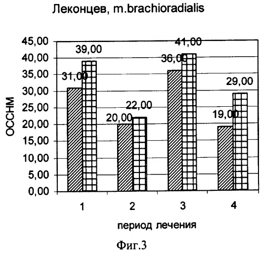 Способ оценки структурных особенностей скелетных мышц (патент 2354298)