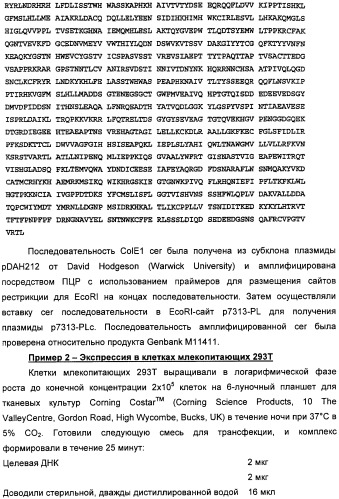 Полинуклеотидная последовательность, кодирующая полипептид вируса папилломы человека, ее применение, а также содержащие ее вектор и фармацевтическая композиция (патент 2354701)