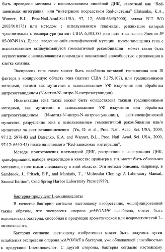 Способ получения l-треонина с использованием бактерии, принадлежащей к роду escherichia, в которой инактивирован оперон ycbponme (оперон ssueadcb) (патент 2392326)