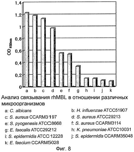 Способ массового производства мультимерного маннозосвязывающего лектина (патент 2350654)