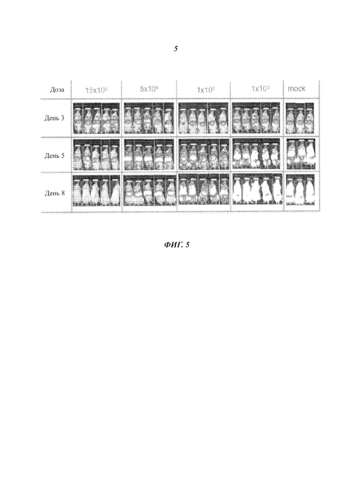 Химерные антигенные рецепторы м971 (патент 2658485)