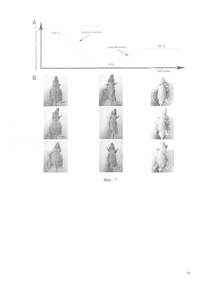 Способ лечения асцитной формы рака (патент 2595864)