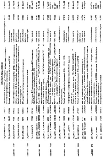 Гены corynebacterium glutamicum, кодирующие белки метаболических путей (патент 2306339)