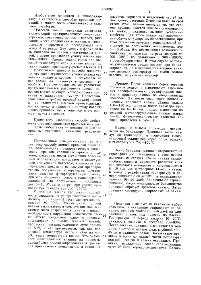 Способ зимней прививки винограда (патент 1158097)