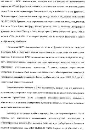 Антитела к гликопротеину vi и способы продуцирования и использования этих антител (патент 2407752)