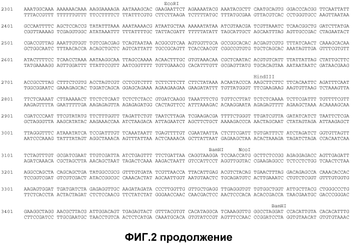 Получение функционализированной линейной днк-кассеты и опосредованная квантовыми точками/наночастицами доставка в растения (патент 2574785)