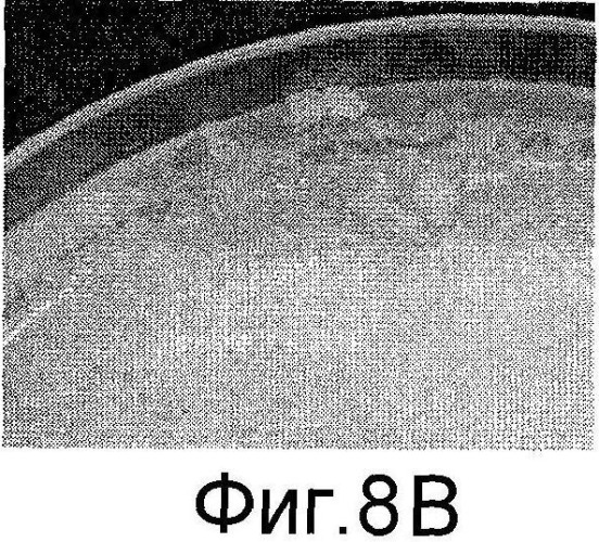 Способы in vitro для создания и поддержания линий растительных клеток в виде отдельных клеток в суспензии с интактными клеточными стенками и их трансформации (патент 2451744)