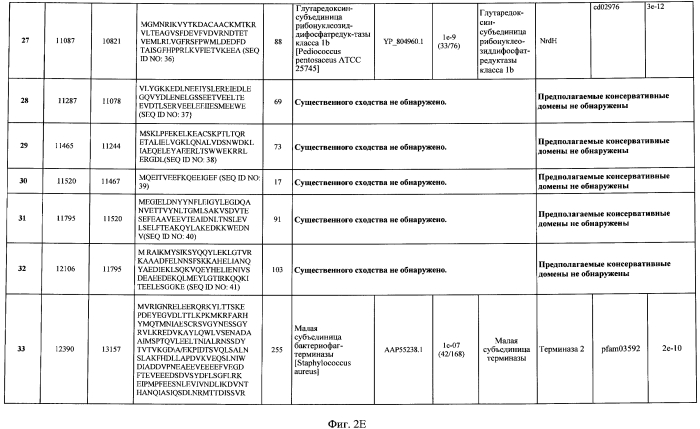 Бактериофаг, обладающий активностью против pseudomonas aeruginosa, белки бактериофага и способы их применения (патент 2580248)