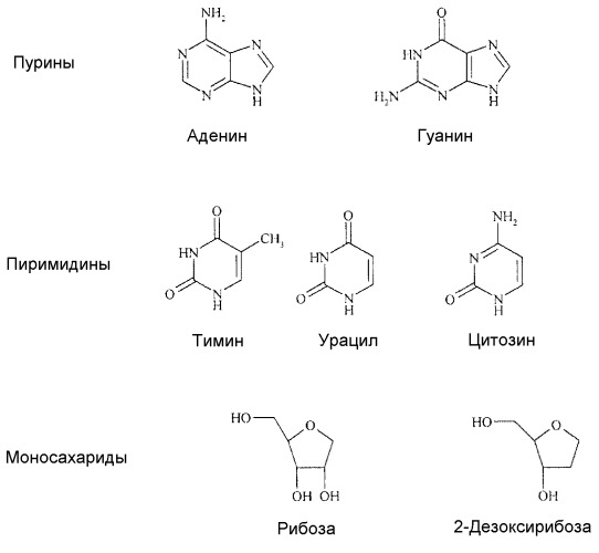 Аналоги азацитидина и их применение (патент 2488591)