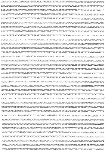 Применение s1p (патент 2362565)