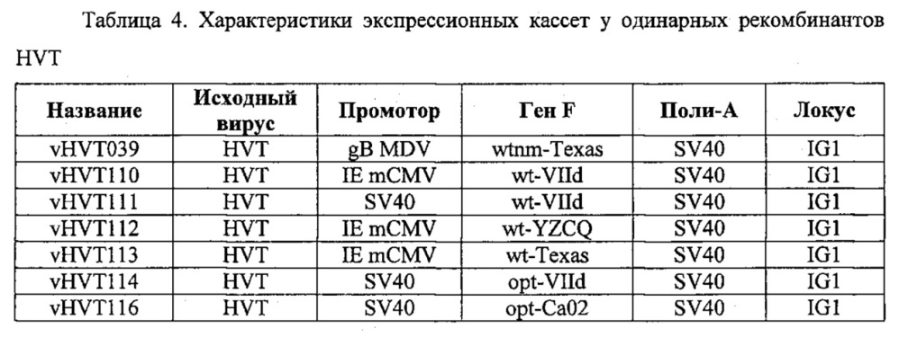 Рекомбинантные векторы hvt, экспрессирующие антигены патогенов птиц и их применение (патент 2620936)