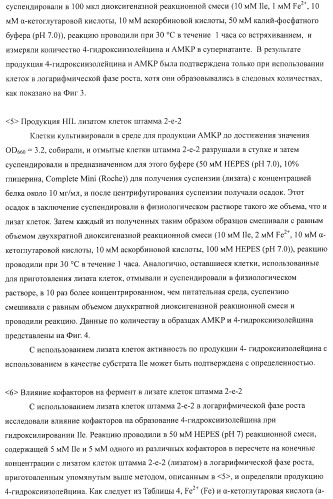 Способ продукции 4-гидрокси-l-изолейцина (патент 2402608)