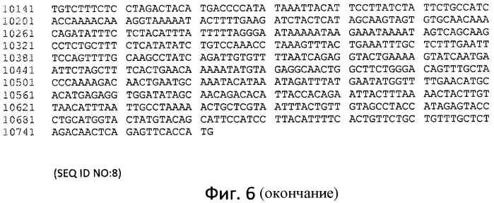 Фермент лизосомальной болезни накопления (патент 2575074)