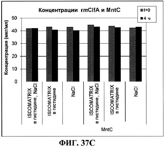 Стабильные иммуногенные композиции антигенов staphylococcus aureus (патент 2570730)