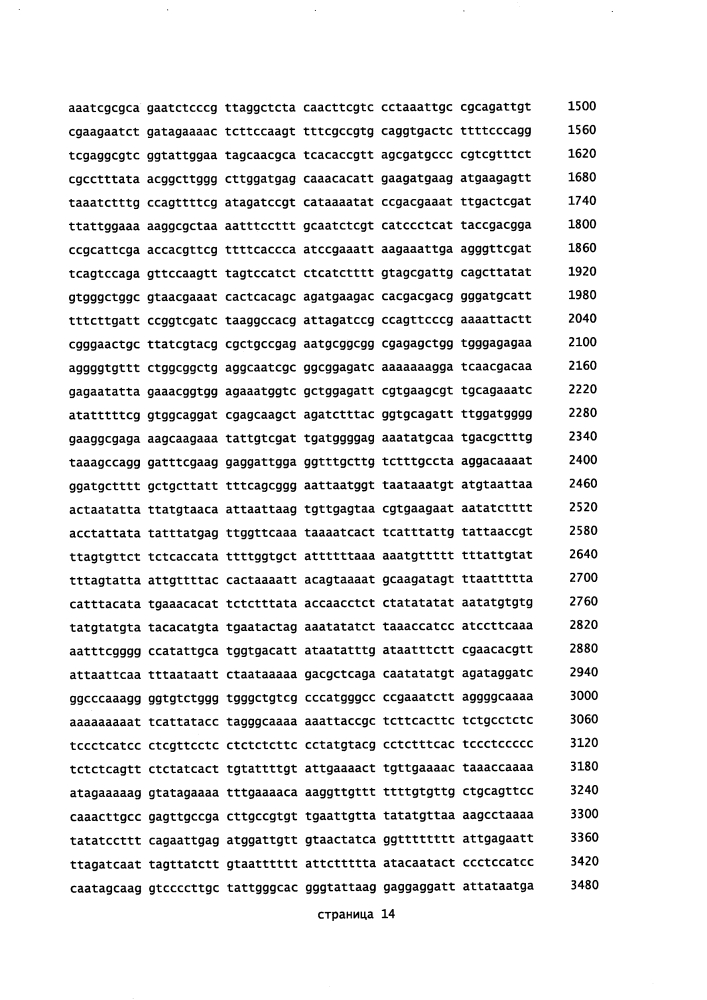 Новый ген гликозилтрансферазы и его применение (патент 2636463)