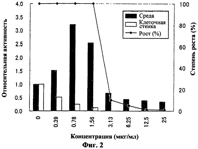 Ген синтеза клеточной стенки грибков (патент 2286387)