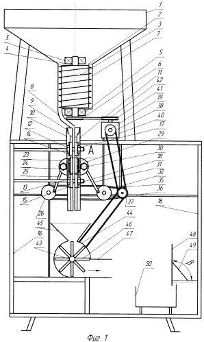 Устройство для разрушения скорлупы кедровых орехов (патент 2350231)