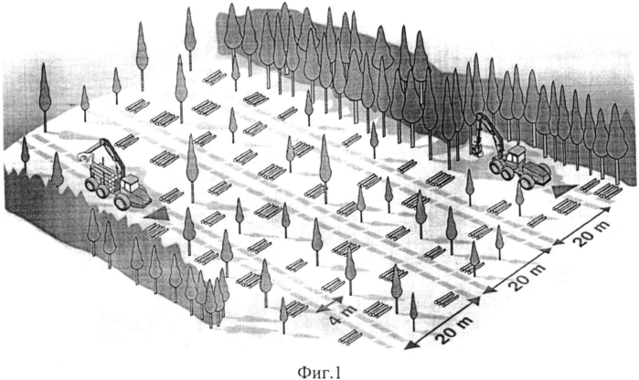 Способ разработки лесосек (патент 2571033)