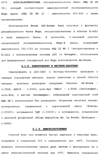 Поликлональное антитело против nogo, фармацевтическая композиция и применение антитела для изготовления лекарственного средства (патент 2432364)