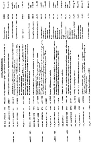 Гены corynebacterium glutamicum, кодирующие белки метаболических путей (патент 2306339)