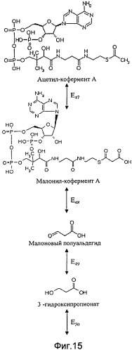 Способ получения метакриловой кислоты или сложных эфиров мeтакриловой кислоты (патент 2491346)