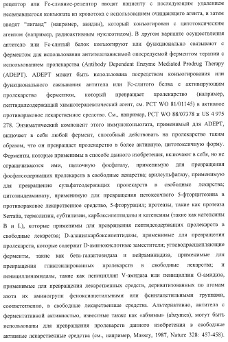 Антитело, содержащее fc-вариантную часть (варианты), фармацевтическая композиция, содержащая антитело, и способ лечения млекопитающего (патент 2390527)