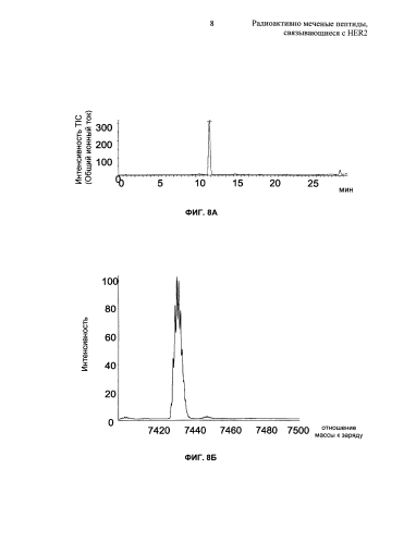 Радиоактивно меченые пептиды, связывающиеся с her2 (патент 2592685)