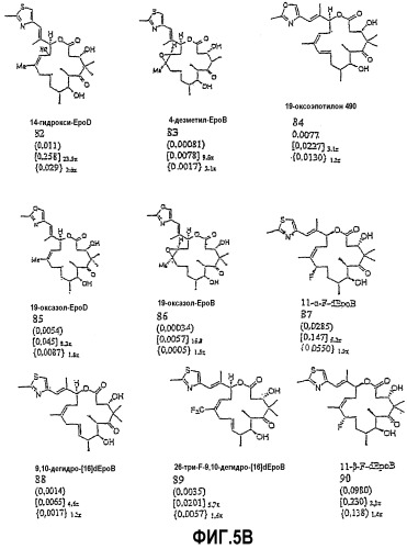 Синтез эпотилонов, их промежуточных продуктов, аналогов и их применения (патент 2311415)