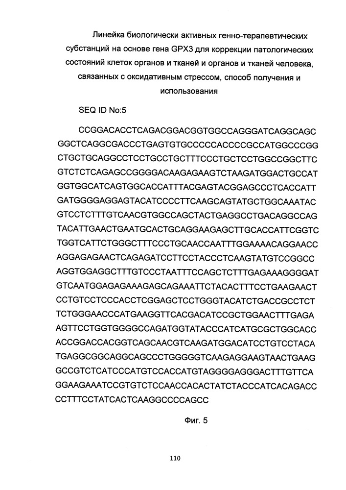 Средство для коррекции патологических состояний клеток органов и тканей и/или органов и тканей человека, на основе гена gpx3, связанных с оксидативным стрессом, способ получения и использования (патент 2651758)