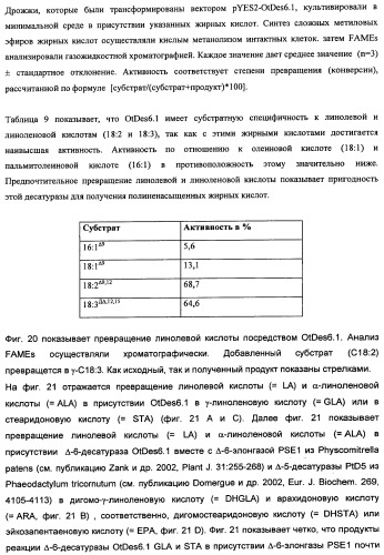 Способ получения полиненасыщенных кислот жирного ряда в трансгенных организмах (патент 2447147)