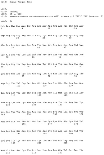 Выделенная полинуклеотидная молекула, кодирующая вирус torque teno, молекула рнк и вектор экспрессии (патент 2502801)
