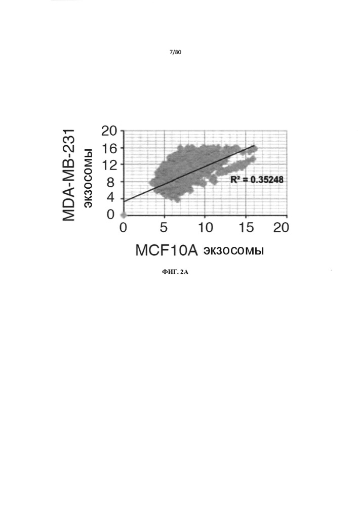 Использование биогенеза микрорнк в экзосомах для диагностики и лечения (патент 2644247)