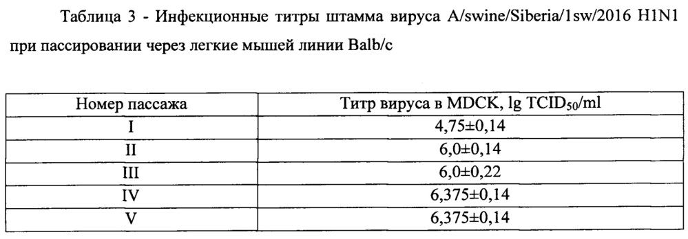 Штамм вируса гриппа свиней a/swine/siberia/1sw/2016 h1n1-субтипа для использования в диагностике вируса гриппа методами ртга и пцр и исследования эффективности вакцин и противовирусных препаратов in vitro и in vivo (патент 2631938)