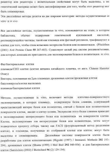 Экспонирование т-клеточных рецепторов (патент 2346004)